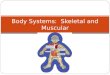Body Systems: Skeletal and Muscular. Levels of Organization ~ Organ Systems