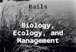 Rails Biology, Ecology, and Management Classification Kingdom Animalia Phylum Chordata Class Aves Order Gruiformes Family Rallidae Coturnicops Laterallus