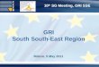 10 th SG Meeting, GRI SSE Milano, 5 May 2011 GRI South South-East Region