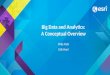 Big Data and Analytics: A Conceptual Overview Mike Park Erik Hoel
