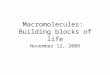 Macromolecules: Building blocks of life November 12, 2009