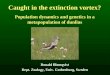 Donald Blomqvist Dept. Zoology, Univ. Gothenburg, Sweden Caught in the extinction vortex? Population dynamics and genetics in a metapopulation of dunlins