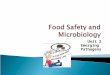 Unit 2 Emerging Pathogens.  Unit 2 Project (Create brochure on specific food borne illness) ◦ Template for trifold brochure in doc sharing  Unit 2 Discussion