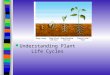 Understanding Plant Life Cycles. Common Core/Next Generation Science Standards Addressed MS ‐ LS1 ‐ 6.- Construct a scientific explanation based on evidence