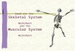 Hand out the Skeletal System Worksheet and the Muscular System Worksheet