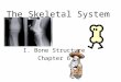 The Skeletal System I. Bone Structure Chapter 6. Osteology Osteology is the scientific study of bones. A subdiscipline of anatomy, anthropology, and archeology,
