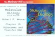 Molecular Biology Fifth Edition Chapter 19 Ribosomes and Transfer RNA Lecture PowerPoint to accompany Robert F. Weaver Copyright © The McGraw-Hill Companies,