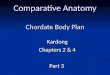Comparative Anatomy Chordate Body Plan Kardong Chapters 2 & 4 Part 3