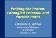 Probing the Proton: Entangled Personal and Particle Paths Christine A. Aidala University of Michigan U-M CUWiP January 17, 2015