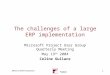 Pcubed MPUG 5/19/04 Presentation 1 The challenges of a large ERP implementation Microsoft Project User Group Quarterly Meeting May 19 th 2004 Celine Gullace