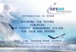 The SESAR Definition Phase is co-financed by the European Community and EUROCONTROL Responding to the 2020 Challenge Introduction to SESAR DEFINING THE