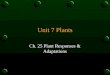 Unit 7 Plants Ch. 25 Plant Responses & Adaptations