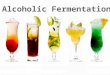 Fermentation: metabolic process in which an organism converts a carbohydrate alcohol or an acid Beer is made from four basic ingredients: Barley, water,