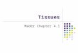 Tissues Mader Chapter 4.1. Types of Tissues A tissue is composed of specialized cells of the same type that perform a common function. *Four primary tissues