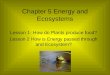 Chapter 5 Energy and Ecosystems Lesson 1- How do Plants produce food? Lesson 2 How is Energy passed through and Ecosystem?
