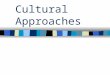 Cultural Approaches. Culture (Schein) “Pattern of basic assumptions-invented, discovered, or developed by a given group as it learns to cope with