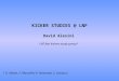 KICKER STUDIES @ LNF David Alesini LNF fast kickers study group* * D. Alesini, F. Marcellini P. Raimondi, S. Guiducci
