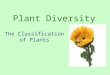 Plant Diversity The Classification of Plants PLANT CHARACTERISTICS Multicellular eukaryotes Photosynthetic autotrophs containing chloroplasts. Non-mobile