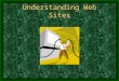 Understanding Web Sites. What is a Web Site A collection of Web pages which you can view on the Internet Contains text, graphics, sound, and video to