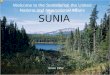SUNIA Since 1952 Welcome to the Seminar on the United Nations and International Affairs