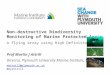 Non-destructive Biodiversity Monitoring of Marine Protected Areas A flying array using High Definition Video Prof Martin J Attrill Director, Plymouth University