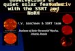 Observations of quiet solar features with the SSRT and NoRH V.V. Grechnev & SSRT team Institute of Solar-Terrestrial Physics, Irkutsk, Russia Relatively