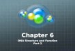 Chapter 6 DNA Structure and Function Part 2. Deciphering The Structure of DNA The DNA molecule is a polymer (or chain) of subunits (or links) called nucleotides