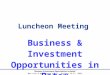 “Business & Investment Opportunities in Batam” New York & Washington Visit - October 26-27, 2004 Luncheon Meeting Business & Investment Opportunities in