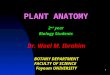 1 PLANT ANATOMY Dr. Wael M. Ibrahim BOTANY DEPARTMENT FACULTY OF SCIENCE Fayoum UNIVERSITY 2 nd year Biology Students