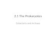 2.1 The Prokaryotes Eubacteria and Archaea. Characteristics