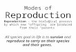 Modes of Reproduction Reproduction - the biological process by which new “offspring” are produced from their “parents” All species goal in life is to survive