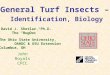 General Turf Insects – Identification, Biology David J. Shetlar, Ph.D. The “BugDoc” The Ohio State University, OARDC & OSU Extension Columbus, OH John