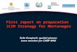First report on preparation ICZM Strategy for Montenegro Saša Karajović, spatial planner team member for CAMP MNE