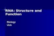 RNA: Structure and Function BiologyVick. What is RNA? Ribonucleic Acid Ribonucleic Acid It carries out the instructions encoded in DNA It carries out