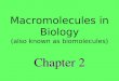 Macromolecules in Biology (also known as biomolecules) Chapter 2