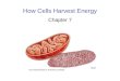 How Cells Harvest Energy Chapter 7. 2 MAIN IDEA All cells derive chemical energy form organic molecules and use it to convert that energy to ATP