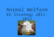 Animal Welfare EU Strategy 2011-2015. Introduction Community Action Plan 2006-2010 The Commission's commitment to EU citizens, stakeholders, the EP and