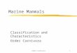 Order Carnivora1 Marine Mammals Classification and Characteristics Order Carnivora