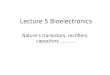 Lecture 5 Bioelectronics Nature’s transistors, rectifiers, capacitors ………