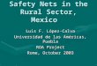 Safety Nets in the Rural Sector, Mexico Luis F. López-Calva Universidad de las Américas, Puebla ROA Project Rome, October 2003