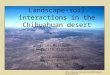 Landscape-soil interactions in the Chihuahuan desert Brian Murtaugh Meredith Albright Soils Geography November 6, 2007 Univ of Colorado, Boulder 