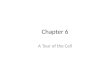 Chapter 6 A Tour of the Cell. Overview: The Importance of Cells All organisms are made of cells The cell is the simplest collection of matter that can