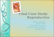 Final Case Study: Reproductive Sally Anderson Holly Cobb Christine Douglas Rachel Drosselmeyer Megan Reid