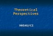 HHS4U/CI Theoretical Perspectives. Learning Goals By the end of this lesson you will understand seven theoretical perspectives. By the end of this lesson