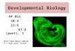 Developmental Biology AP Bio 18:4 21:6 47:2 (part), 3 Wild-type mouse embryo 9.5 days post coitum