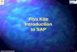 Quarles: Flya Kite Introduction 1 Flya Kite Introduction to SAP