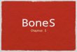 BoneS Chapter 5. Functions of the Bones Besides body shape and form there are several important body functions: Support: Bones, are the steel girds and
