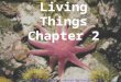 Living Things Chapter 2 Powerpoint created & shared by Jamie Miller Fifth & Sixth Grade Teacher Caldwell Adventist Elementary School Idaho Conference,