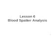 1 Lesson 6 Blood Spatter Analysis. 2 Activity 6.1 Seeing red blood spatters  (Crime Scene Forensics,