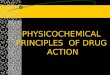PHYSICOCHEMICAL PRINCIPLES OF DRUG ACTION. INTRODUCTION Drug molecules interact with biological structures drug effect lipoproteins/enzymes membranes